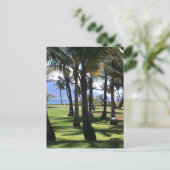 Coconut Palms Nui Hawaii Briefkaart (Staand voorkant)