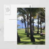 Coconut Palms Nui Hawaii Briefkaart (Voorkant / Achterkant)
