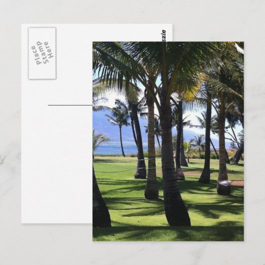 Coconut Palms Nui Hawaii Briefkaart (Voorkant / Achterkant)
