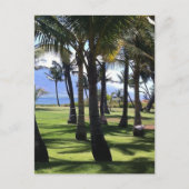 Coconut Palms Nui Hawaii Briefkaart (Voorkant)