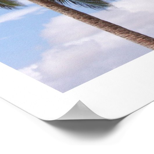 Coconut Palms Poster (Hoek)