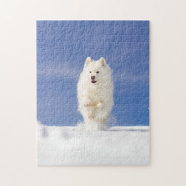 Coconut - Snow Bear Legpuzzel