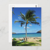 Coconut Trees Briefkaart (Voorkant / Achterkant)