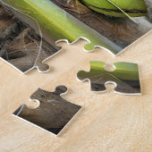 Coconut Trees Tropical Maagdeneilanden Caribisch g Legpuzzel (Zijkant)