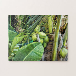Coconut Trees Tropical Maagdeneilanden Caribisch g Legpuzzel