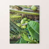 Coconut Trees Tropical Maagdeneilanden Caribisch g Legpuzzel (Verticaal)