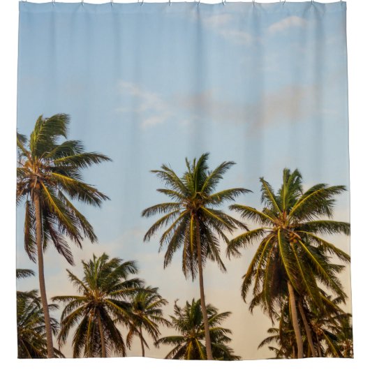 Coconut trees under cloudy sky in the morning douchegordijn (Voorkant)
