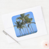 Coconut Trees Vierkante Sticker (Envelop)