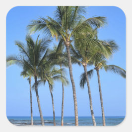 Coconut Trees Vierkante Sticker
