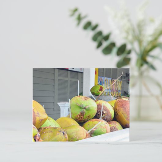 Coconut Water Key West FL Coconuts Briefkaart (Staand voorkant)