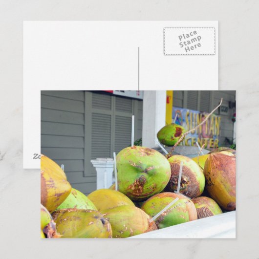 Coconut Water Key West FL Coconuts Briefkaart (Voorkant / Achterkant)