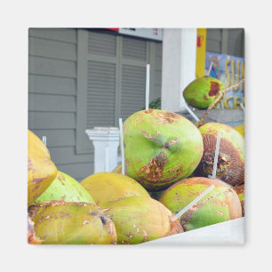 Coconut Water Key West FL Coconuts Magnet