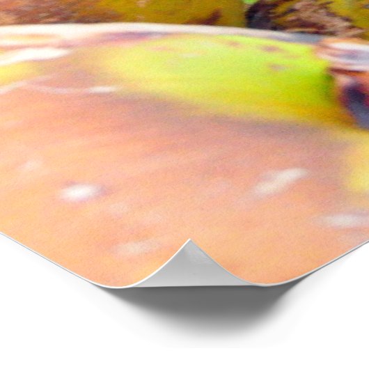 Coconut Water Key West FL Coconuts Poster (Hoek)