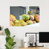 Coconut Water Key West FL Coconuts Poster (Thuiskantoor)