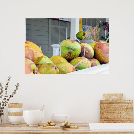 Coconut Water Key West FL Coconuts Poster (Keuken)