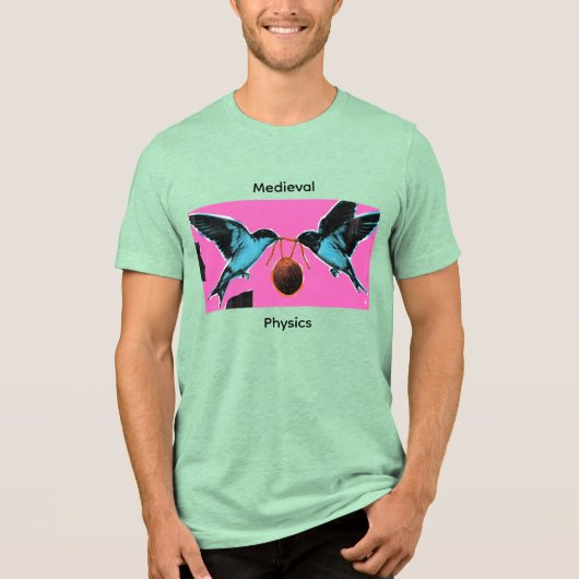 Coconuts Don't Migrate Medieval Physics Tee Tri-Blend Shirt (Voorkant)