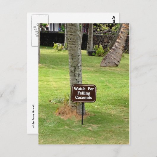 Coconuts Hawaii-waarschuwingsbord Briefkaart (Voorkant / Achterkant)