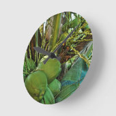 Coconuts Island Palm Tree Caribbean USVI Ronde Klok (Hoek)