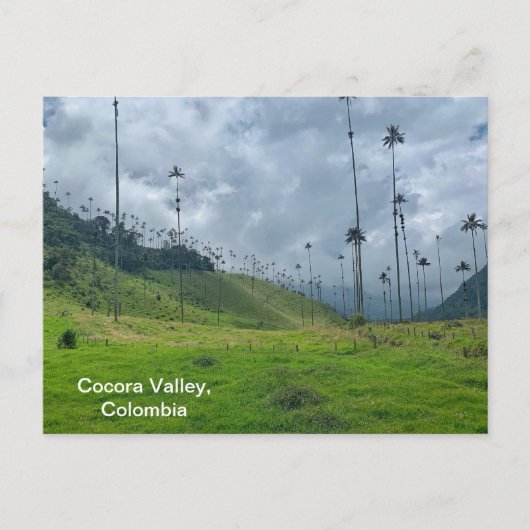 Cocora Valley, Colombia Briefkaart (Voorkant)