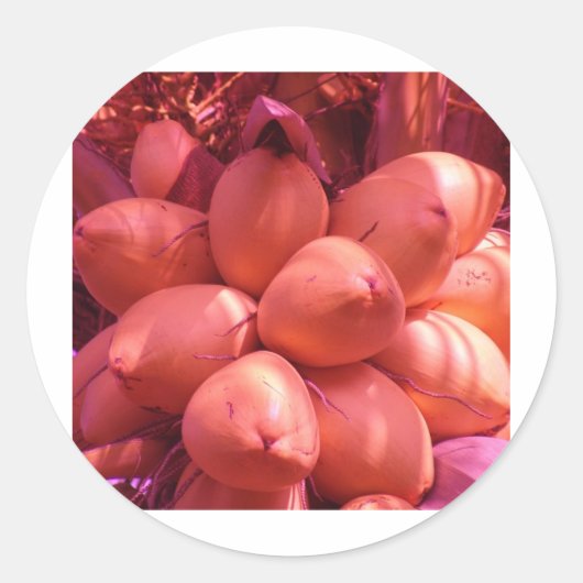 Cocos In kleur Ronde Sticker (Voorkant)