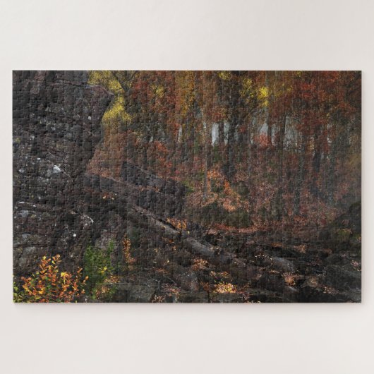 Coda Legpuzzel (Horizontaal)