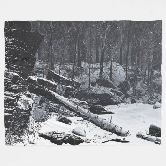 Coda (winter) fleece deken (Voorkant (Horizontaal))