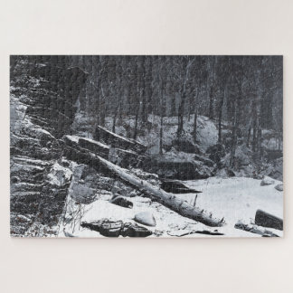Coda (winter) legpuzzel