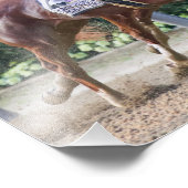 Code Honor & Vino Rosso Foto Afdruk (Hoek)