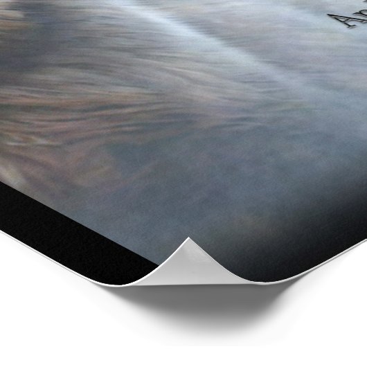 Code van de Wolf Poster (Hoek)