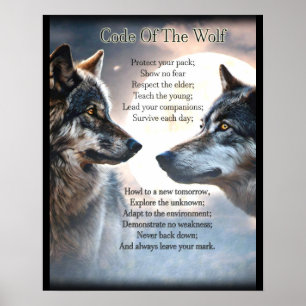 Code van de Wolf Poster