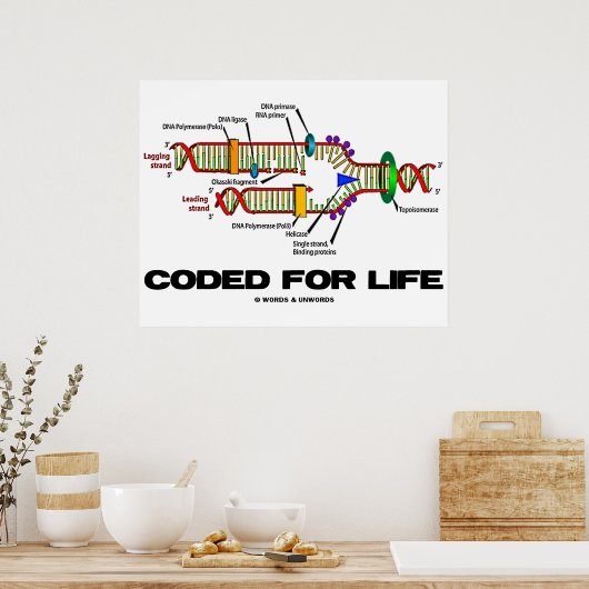 Coded For Life (DNA Replication) Poster (Keuken)