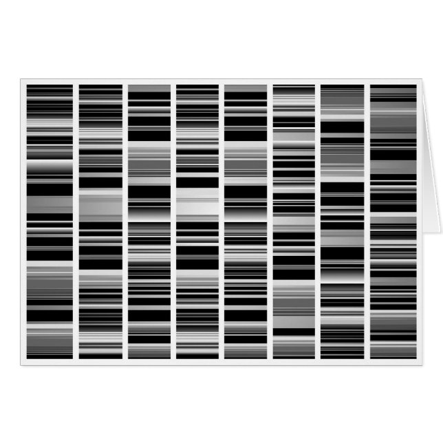 Codex (Voorkant Horizontaal)