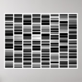 Codex Poster (Voorkant)