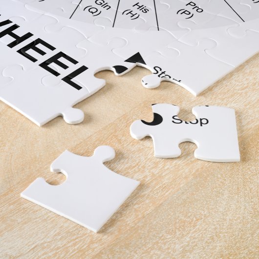 Codon Wheel (RNA-cocons-aminozuren) Legpuzzel (Zijkant)