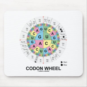 Codon Wheel (RNA-cocons-aminozuren) Muismat