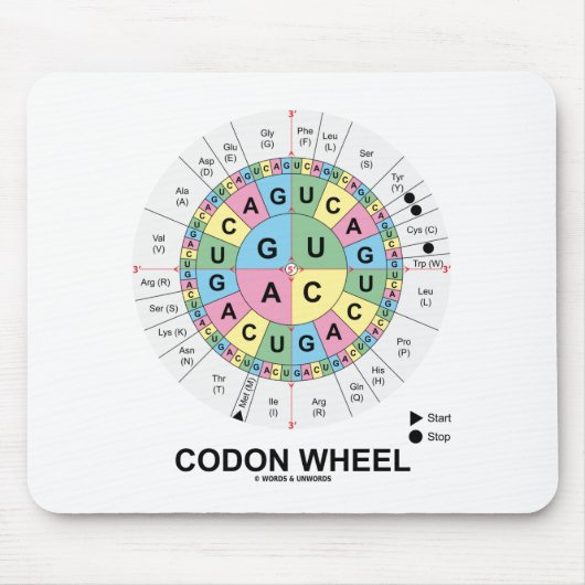 Codon Wheel (RNA-cocons-aminozuren) Muismat (Voorkant)