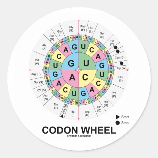 Codon Wheel (RNA-cocons Aminozuren) Ronde Sticker (Voorkant)