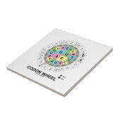 Codon Wheel (RNA-cocons-aminozuren) Tegeltje (Zijkant)