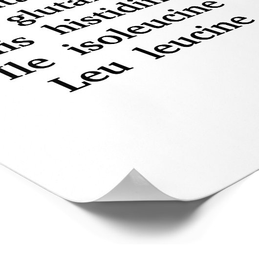 Codons Poster (Hoek)