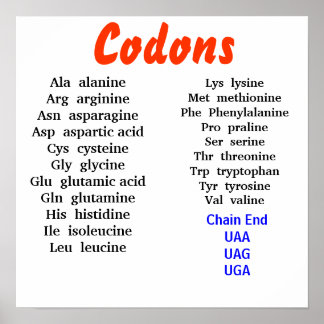Codons Poster