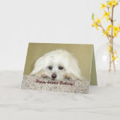 'Cody' Wenskaart Happy Late Birthday! Kaart (Gele Bloem)