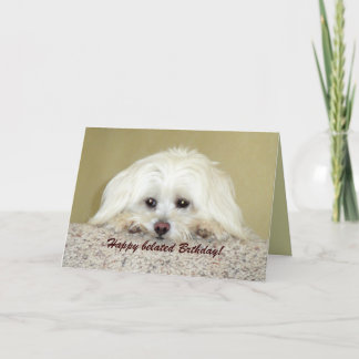 'Cody' Wenskaart Happy Late Birthday! Kaart