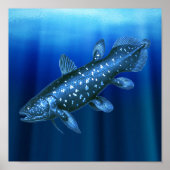 Coelacanth Poster (Voorkant)
