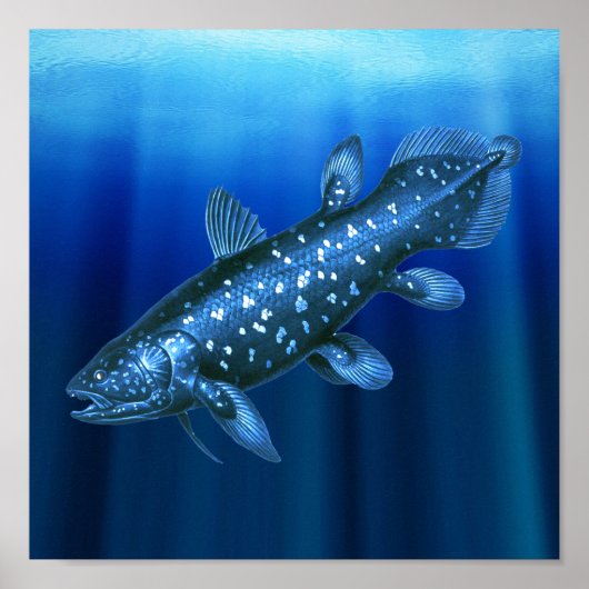Coelacanth Poster (Voorkant)