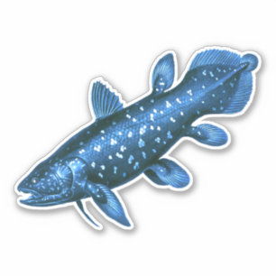 Coelacanth Sticker