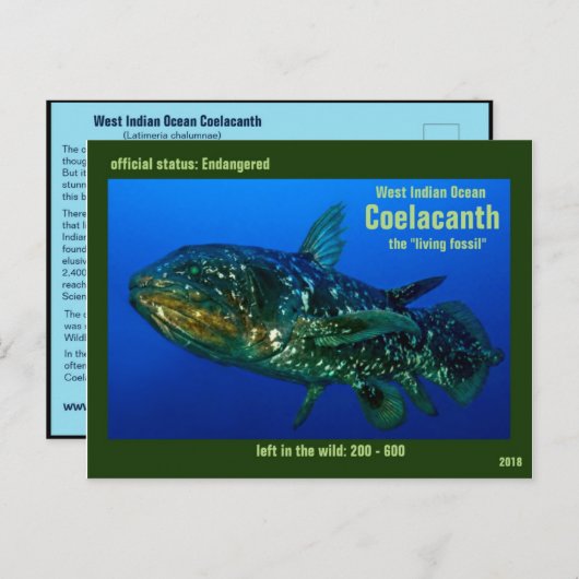 Coelaconth, de "het Leven Fossiele Vissen" is Briefkaart (Voorkant / Achterkant)