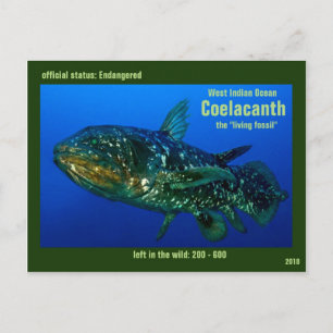 Coelaconth, de "het Leven Fossiele Vissen" is Briefkaart