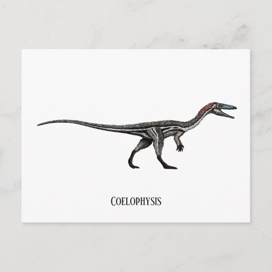 Coelofyse dinosaurus briefkaart (Voorkant)