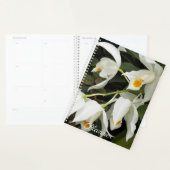 Coelogyne Mooreana Orchid Blooms Floral Planner (Display)