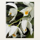 Coelogyne Mooreana Orchidee Bloesems Bloemen Planner (Voorkant)